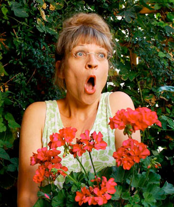 frauenkabarett comedy von frauen aus franken bayern